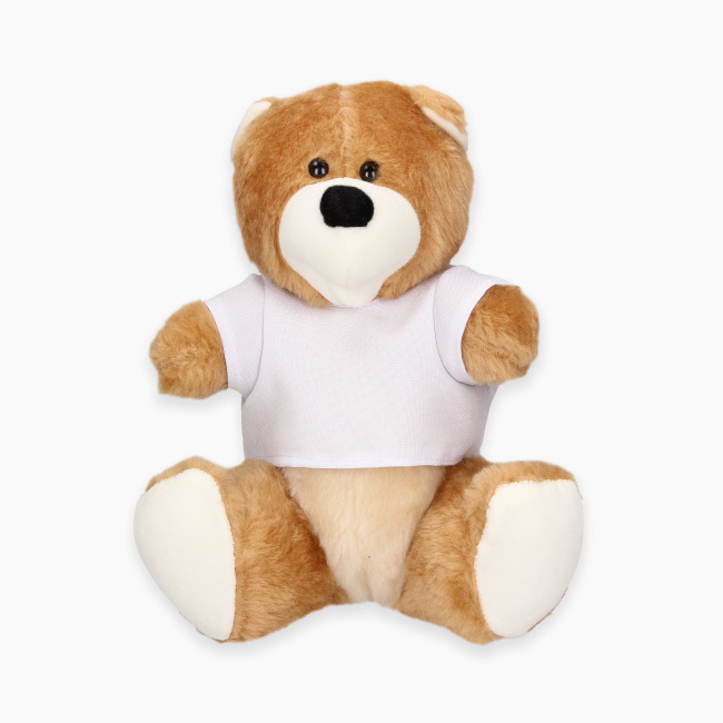 Teddy Bear with T-shirt