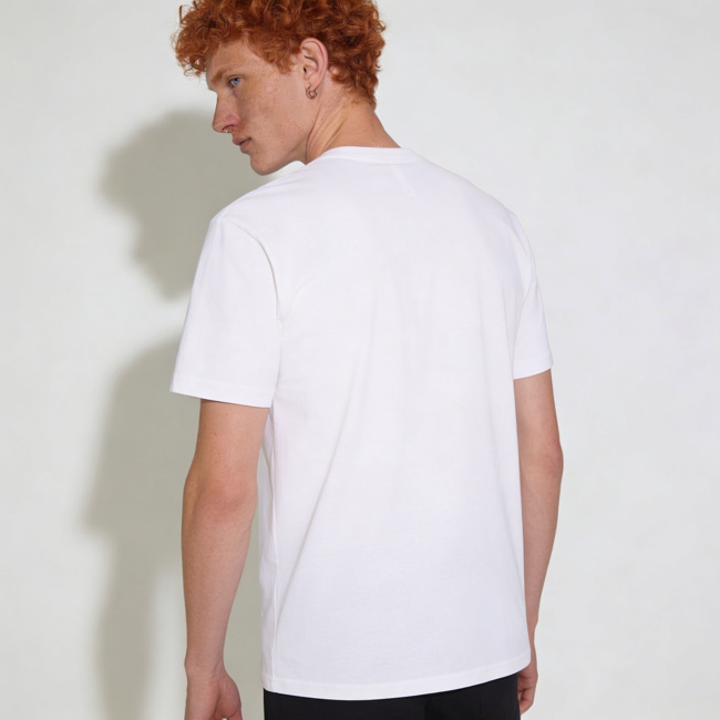 Unisex Regular Cotton T-Shirt | Next Level 3600 — print-on-demand product