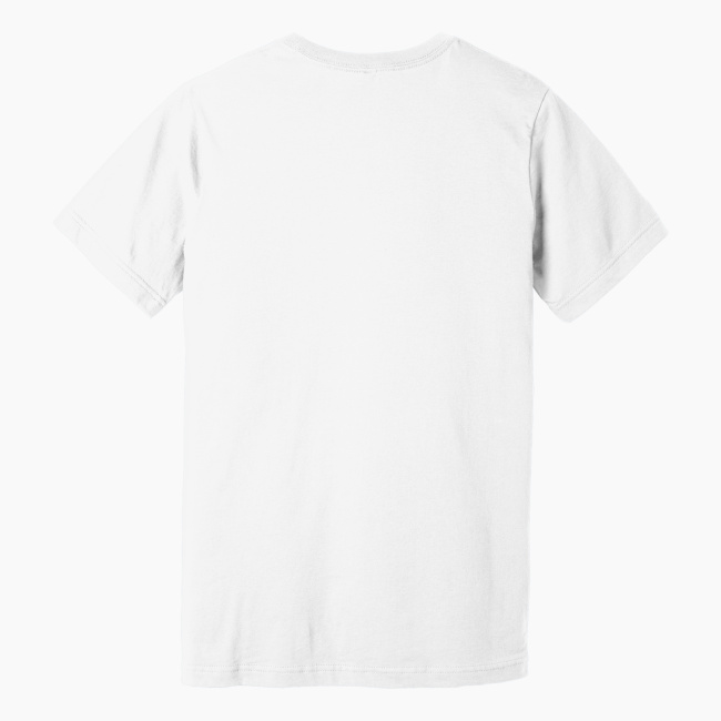 Unisex Classic Fit V-Neck T-Shirt | Bella + Canvas 3005